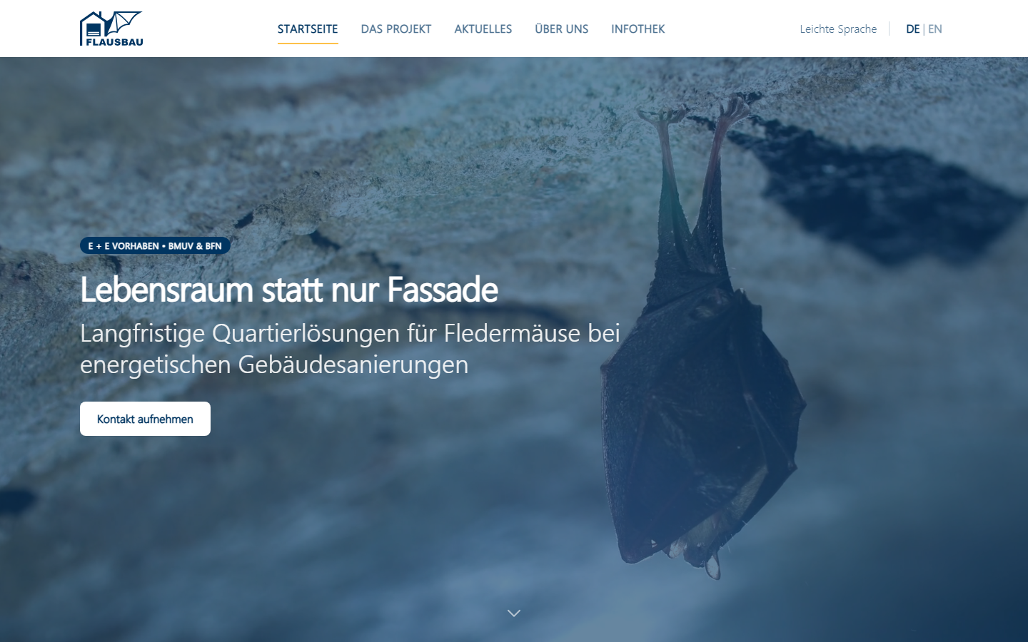 Website für FLAUSBAU: Fledermausschutz und Gebäudesanierung