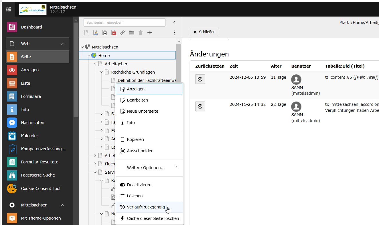 Digitale Servicestelle Arbeit und Migration Mittelsachsen Screenshot 3