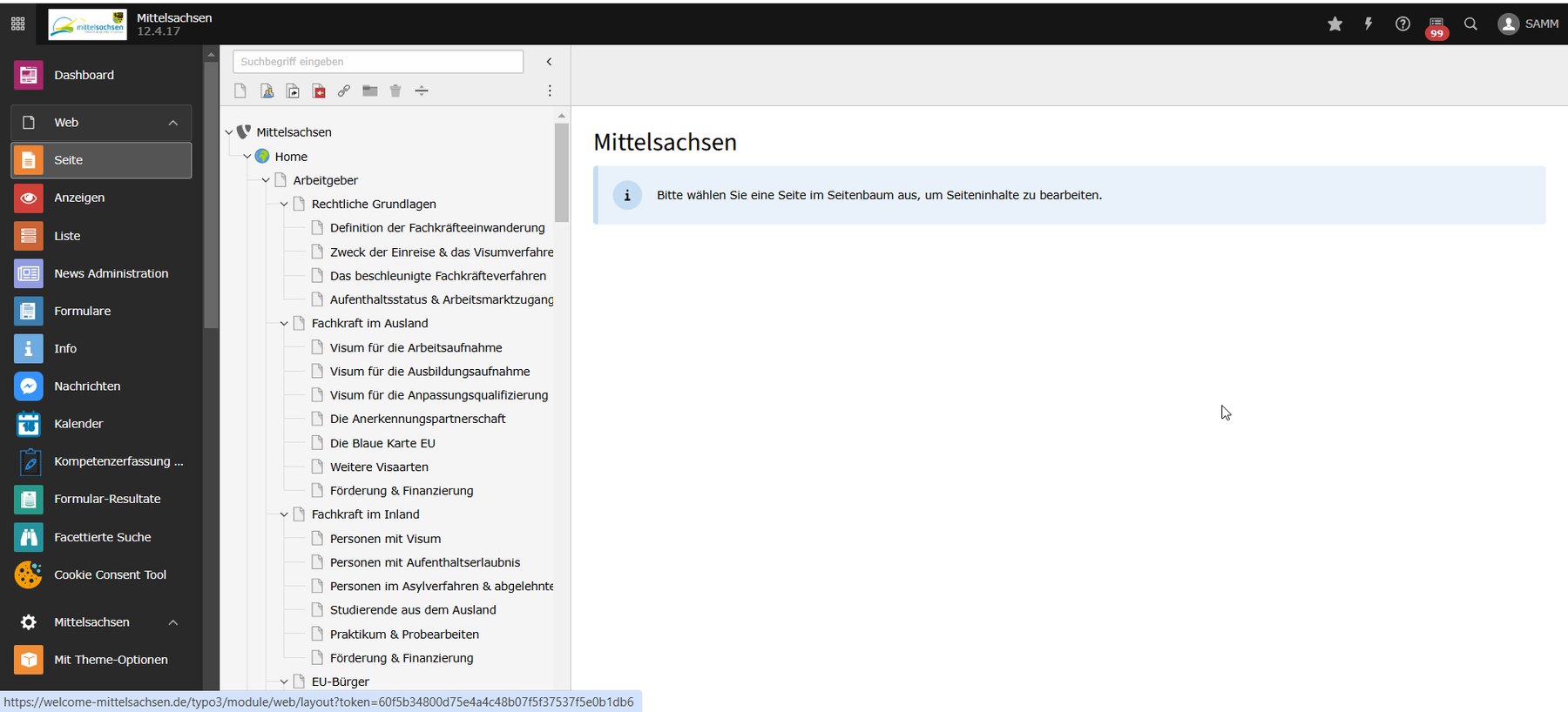 Digitale Servicestelle Arbeit und Migration Mittelsachsen Screenshot 2