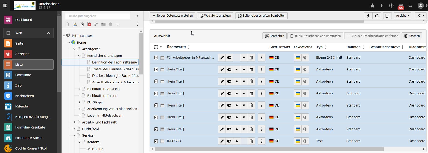 Digitale Servicestelle Arbeit und Migration Mittelsachsen Screenshot 4