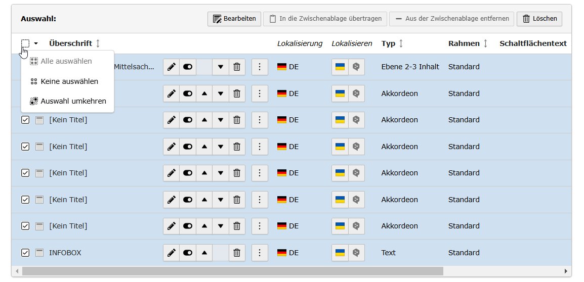 Digitale Servicestelle Arbeit und Migration Mittelsachsen Screenshot 5